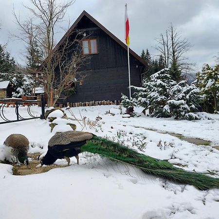 Beskidzka Ostoja Koszarawa Esterno foto
