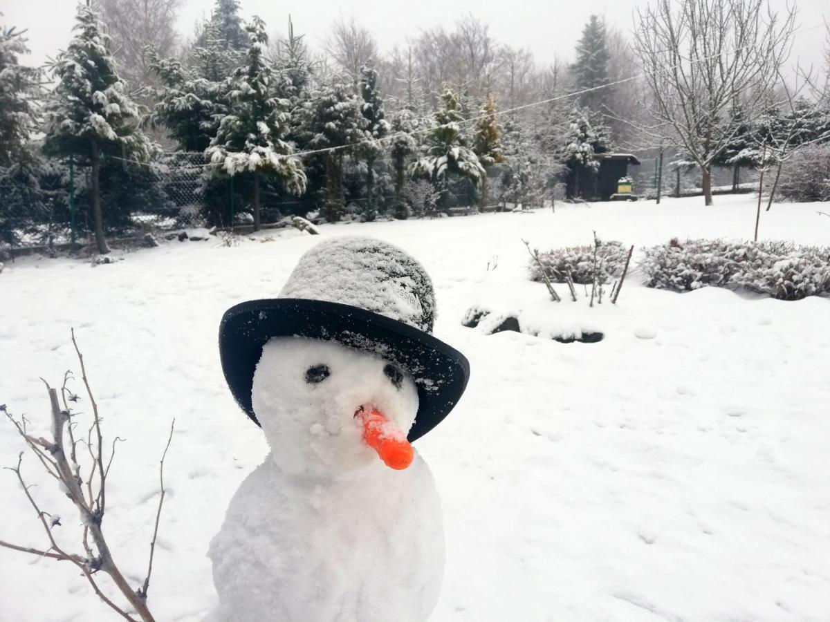 Beskidzka Ostoja Koszarawa Esterno foto