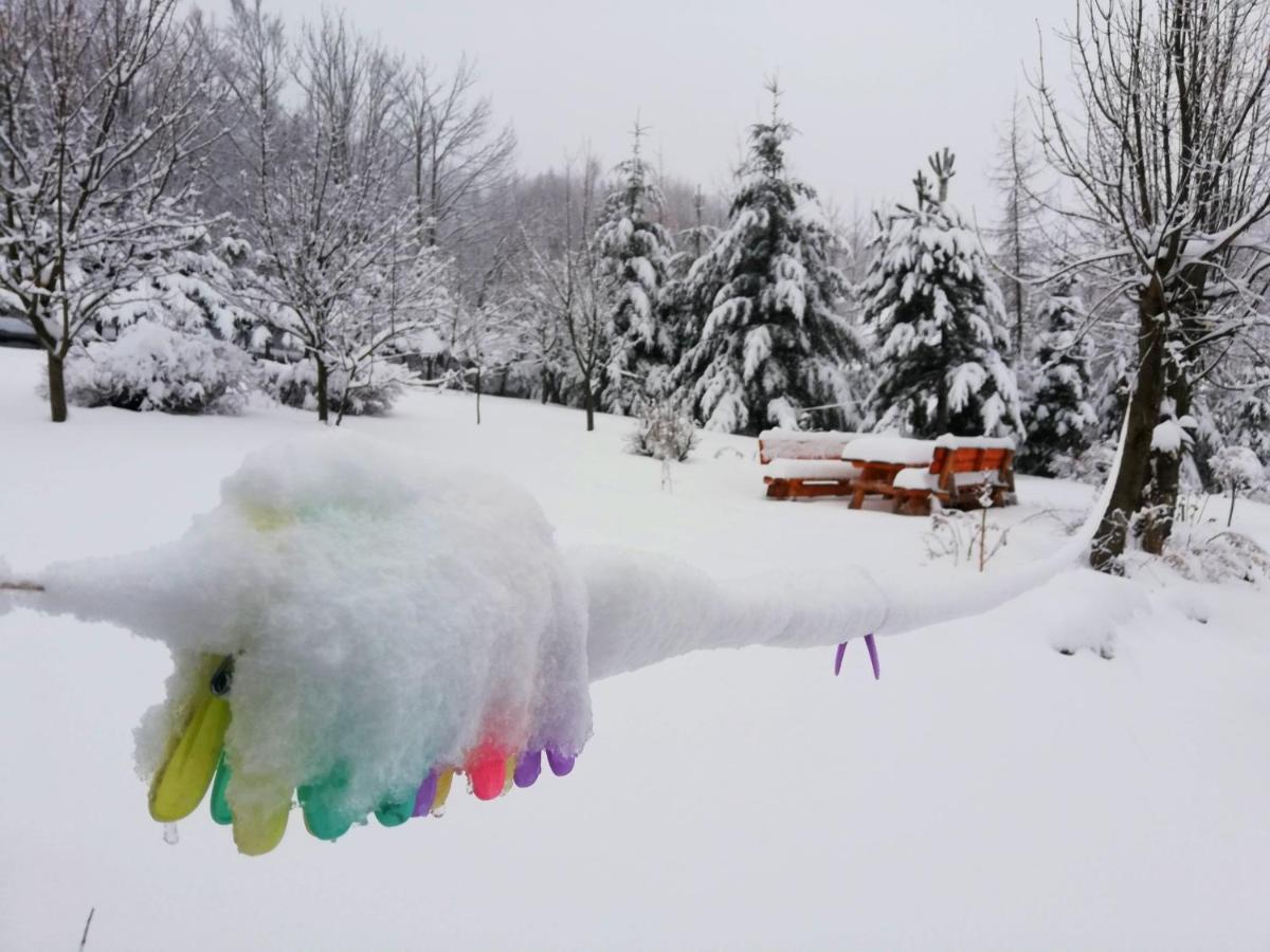Beskidzka Ostoja Koszarawa Esterno foto