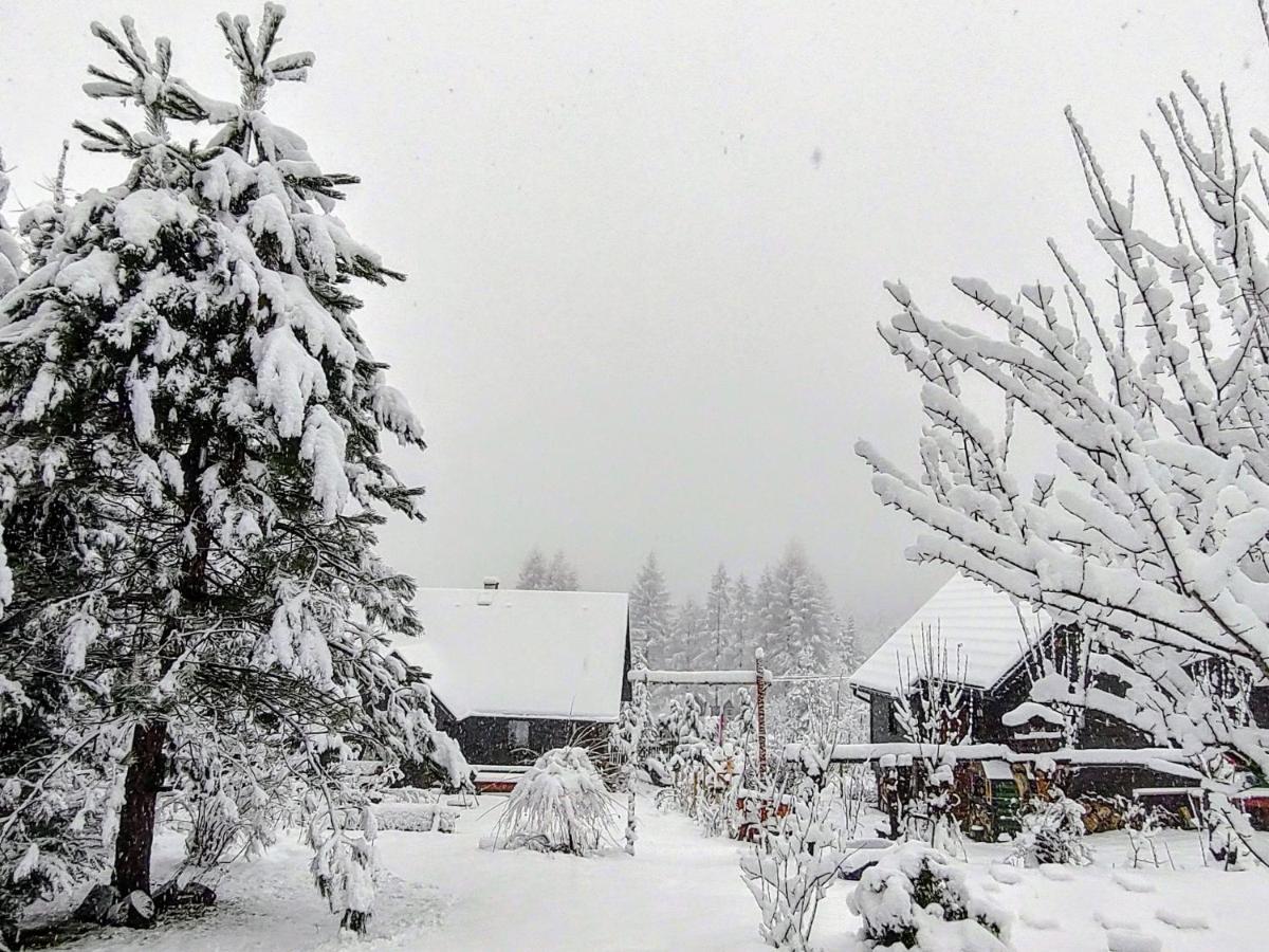 Beskidzka Ostoja Koszarawa Esterno foto