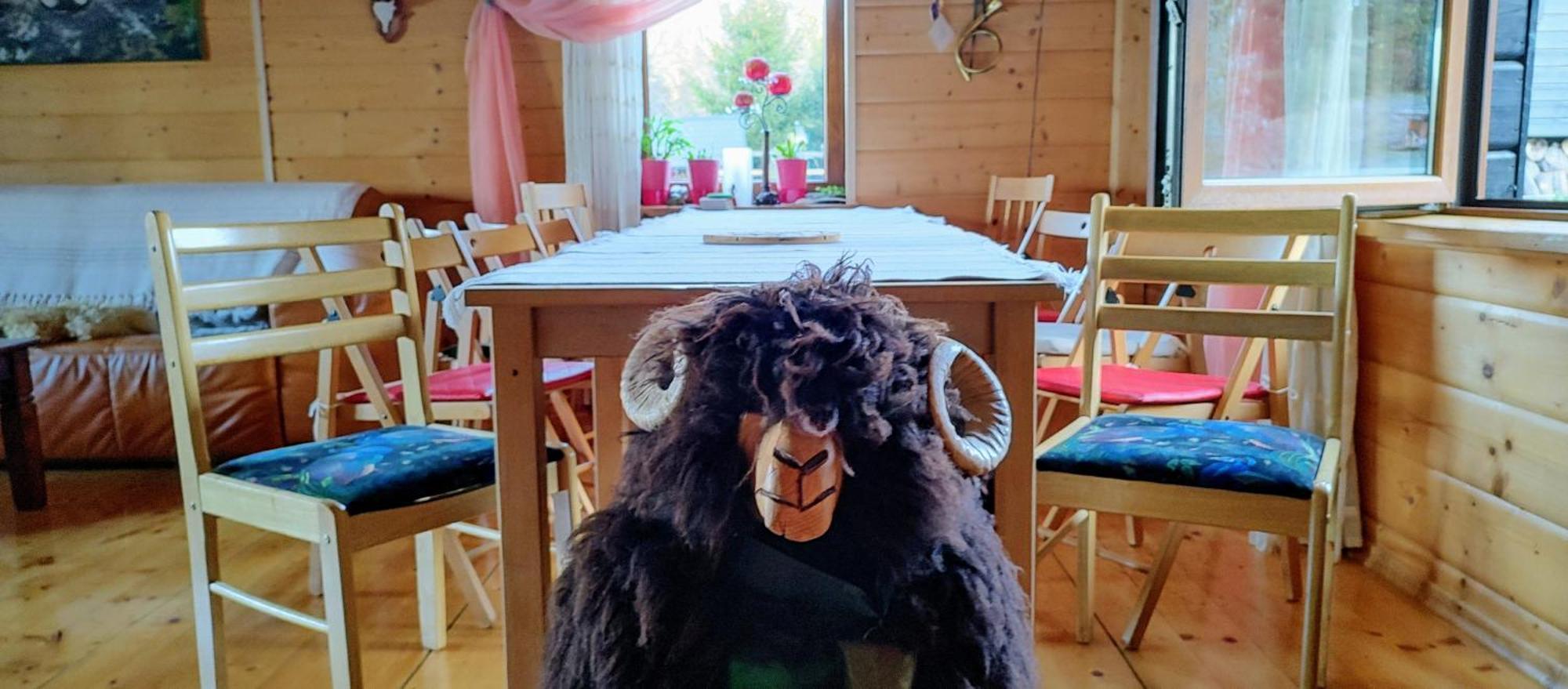 Beskidzka Ostoja Koszarawa Esterno foto